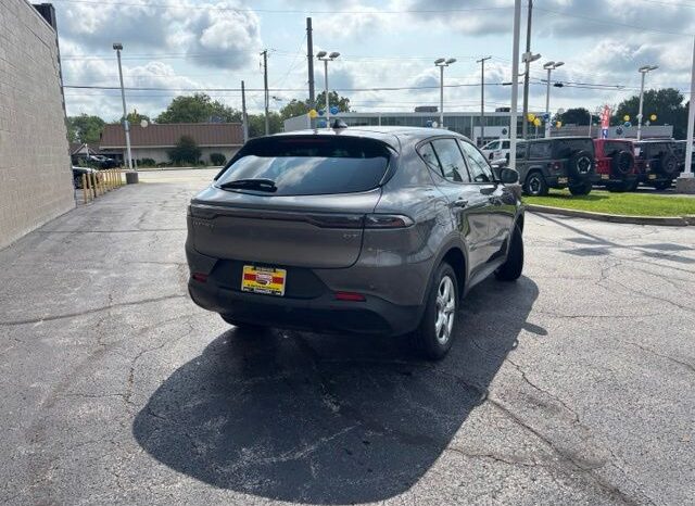 
 Dodge Hornet full									
