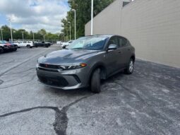 
 Dodge Hornet full									