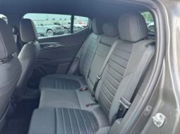 
 Dodge Hornet full									