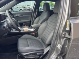 
 Dodge Hornet full									