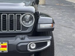 Jeep Wrangler full