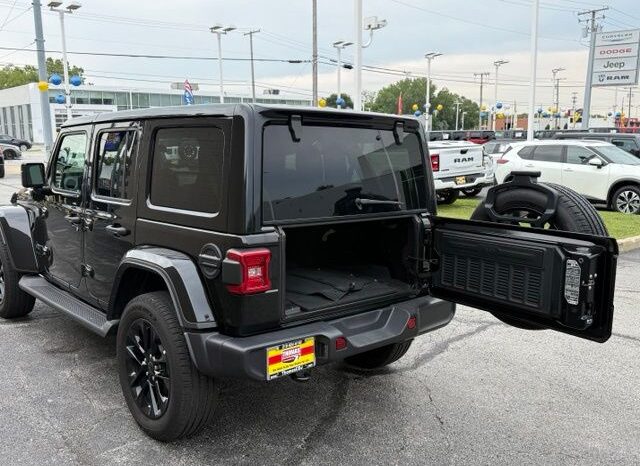 
 Jeep Wrangler full									