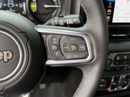 Jeep Wrangler full