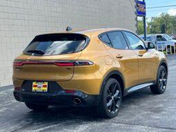
										Dodge Hornet full									