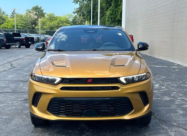 
								Dodge Hornet full									