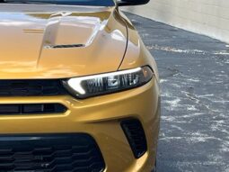 
										Dodge Hornet full									