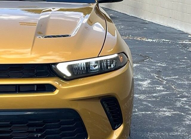 
								Dodge Hornet full									