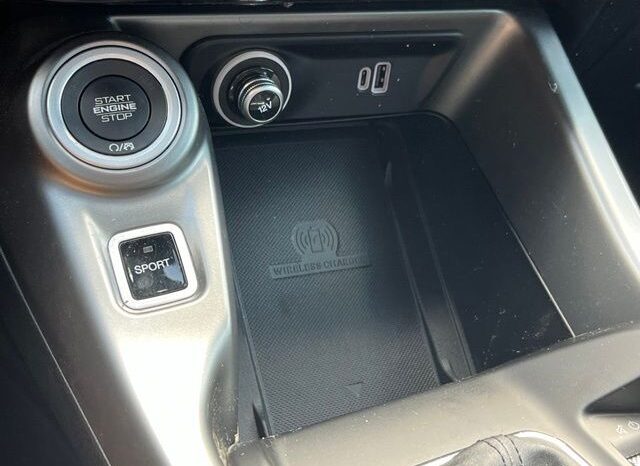 
								Dodge Hornet full									