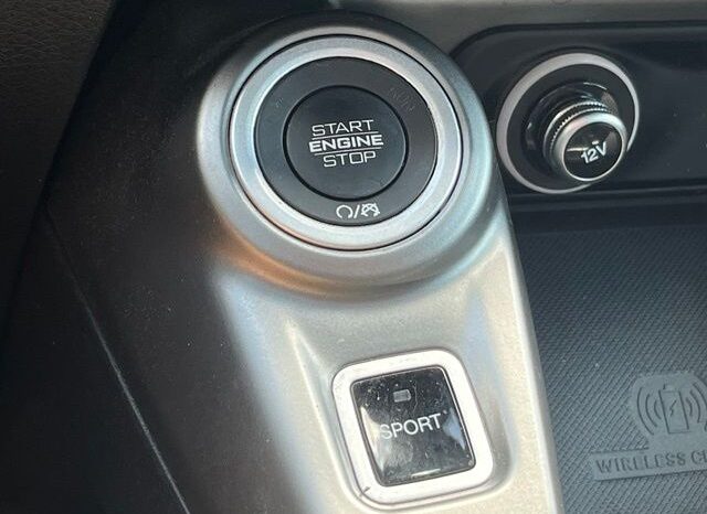 
								Dodge Hornet full									
