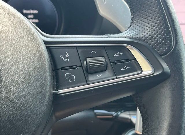 
								Dodge Hornet full									