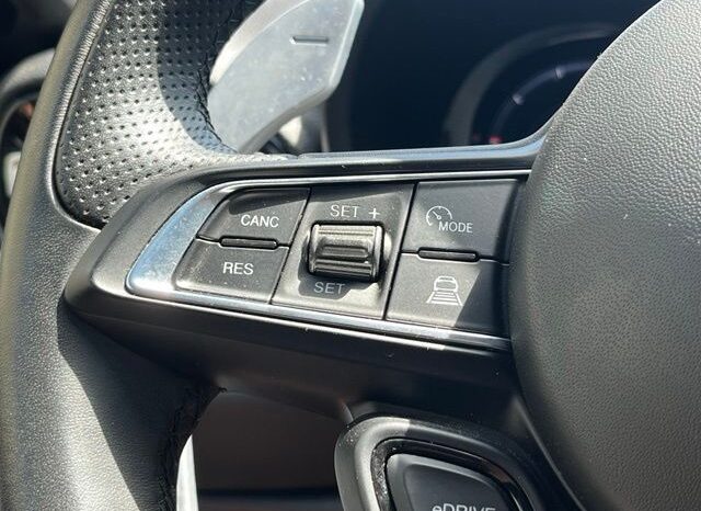 
								Dodge Hornet full									