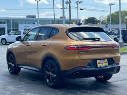 
										Dodge Hornet full									