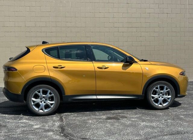 
 Dodge Hornet full									