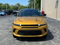 
 Dodge Hornet full									