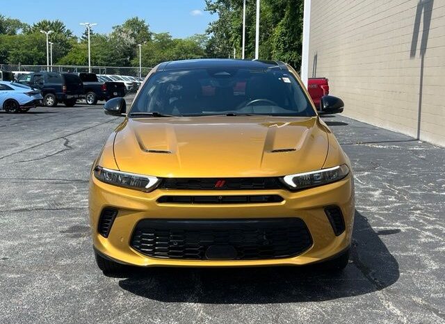 
 Dodge Hornet full									