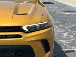 
 Dodge Hornet full									
