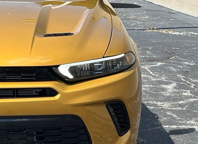 
 Dodge Hornet full									