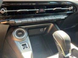 
 Dodge Hornet full									