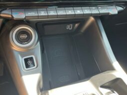 
 Dodge Hornet full									