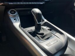 
 Dodge Hornet full									