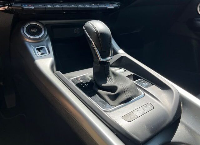 
 Dodge Hornet full									
