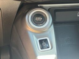 
 Dodge Hornet full									