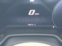 
 Dodge Hornet full									