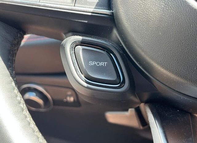 
 Dodge Hornet full									