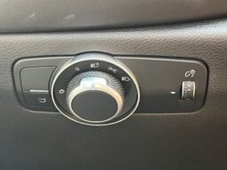 
 Dodge Hornet full									