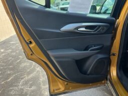 
 Dodge Hornet full									