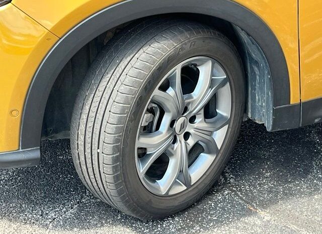 
 Dodge Hornet full									