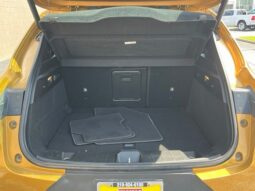 
 Dodge Hornet full									