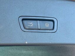 
 Dodge Hornet full									