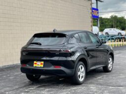 
										Dodge Hornet full									