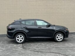
										Dodge Hornet full									