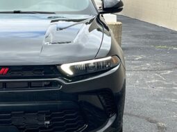 
										Dodge Hornet full									