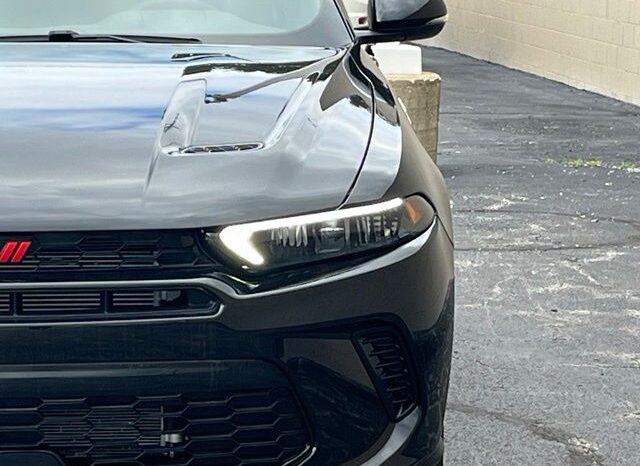 
								Dodge Hornet full									