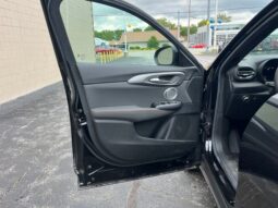 
										Dodge Hornet full									