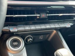 
										Dodge Hornet full									