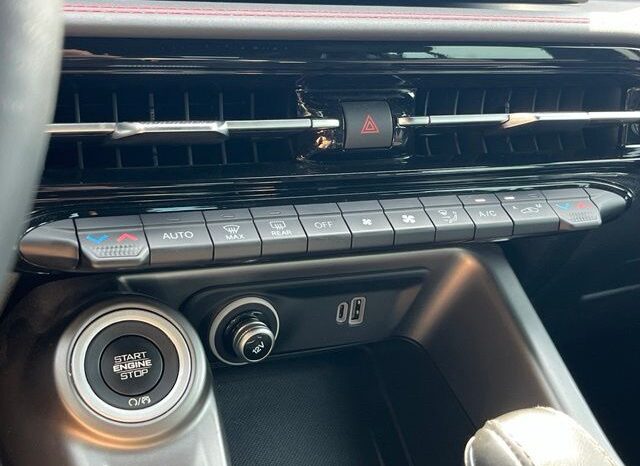 
								Dodge Hornet full									