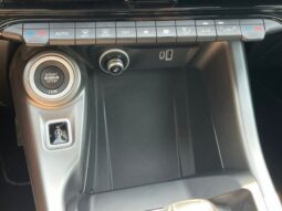 
										Dodge Hornet full									