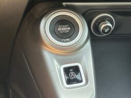 
										Dodge Hornet full									