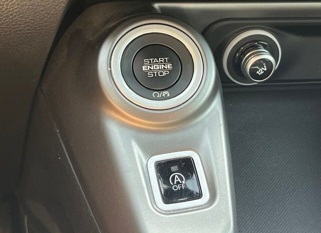 
								Dodge Hornet full									