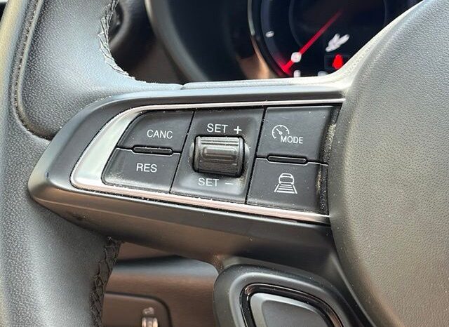 
								Dodge Hornet full									