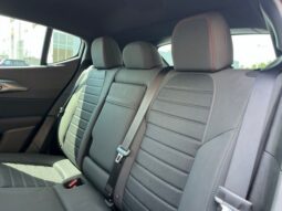 
										Dodge Hornet full									