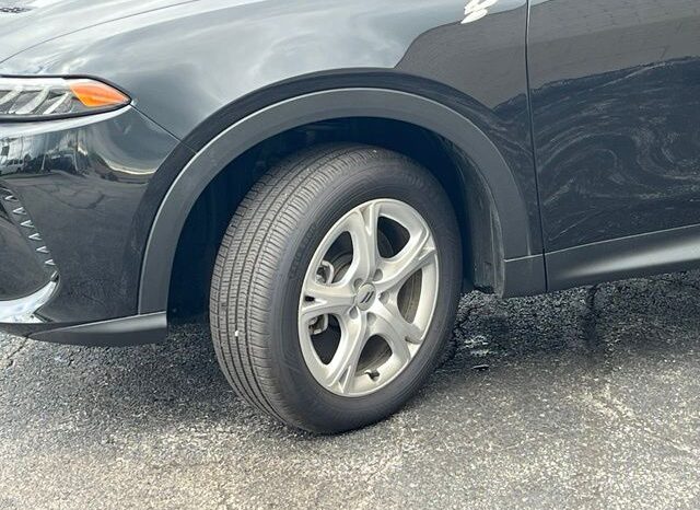 
								Dodge Hornet full									