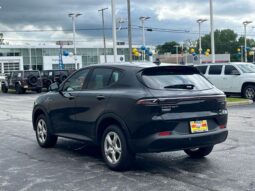 
										Dodge Hornet full									