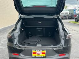 
										Dodge Hornet full									