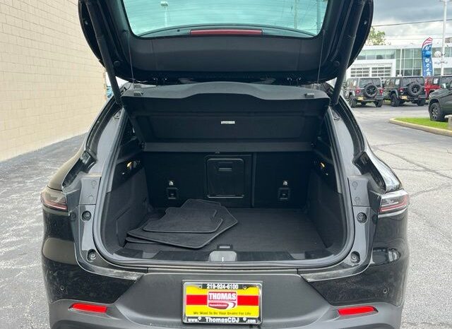 
								Dodge Hornet full									