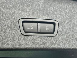 
										Dodge Hornet full									